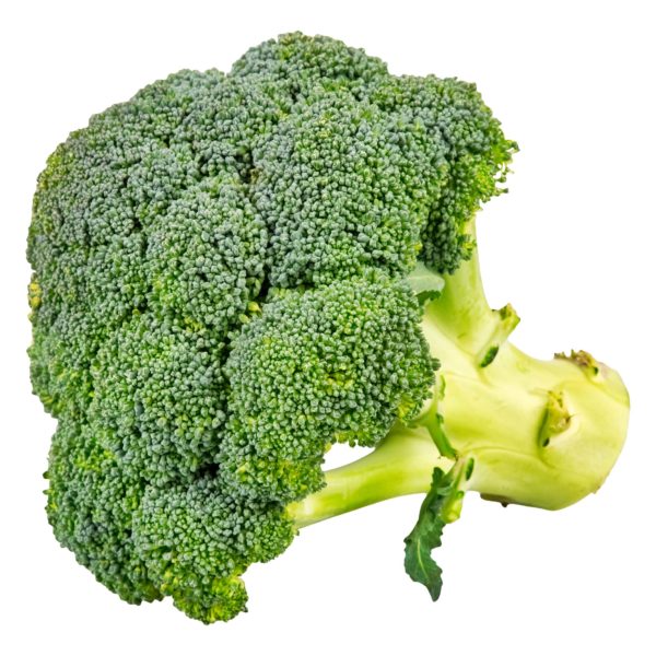 Alimento Colorante Nutricional de Brócoli en Polvo